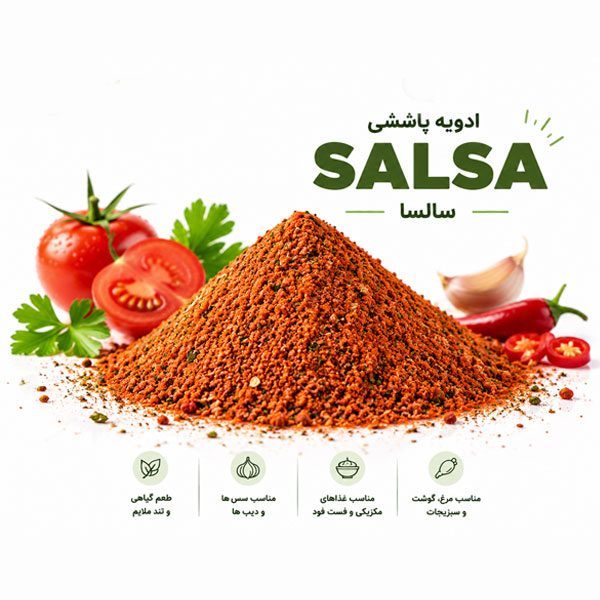 ادویه پاششی سالسا اینگردیا